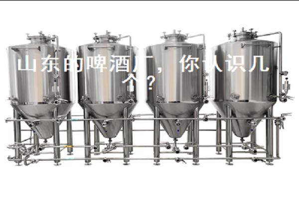 山東的啤酒廠，你認(rèn)識(shí)幾個(gè)？