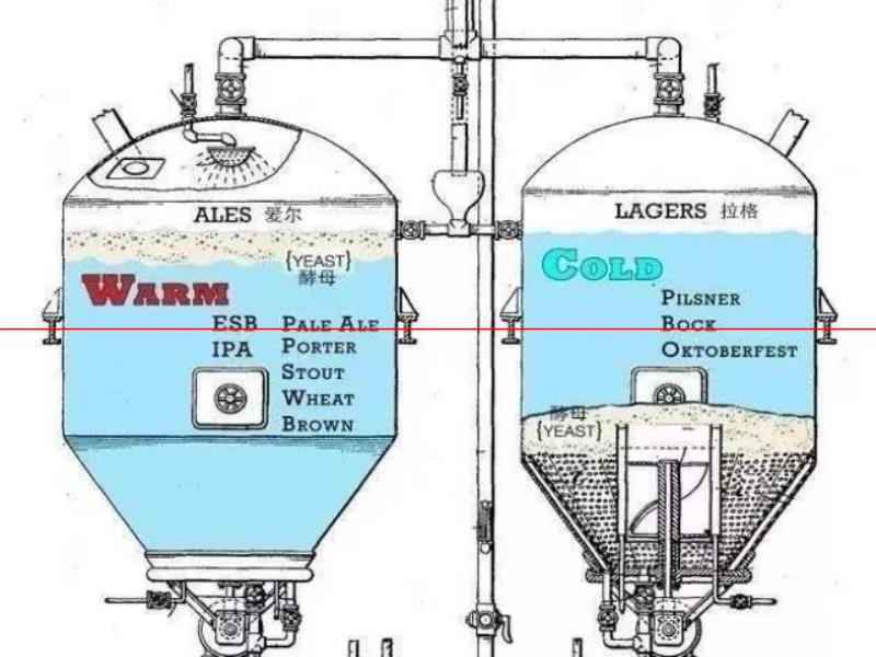 啤酒顏色越深越苦嗎？這些啤酒常識，80%的啤酒人不知道