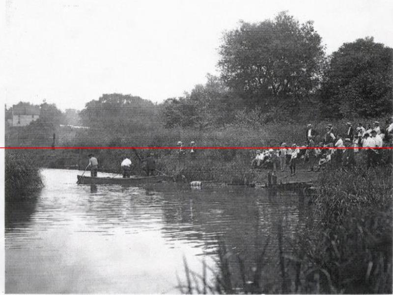 1916年，一條鯊魚(yú)擠進(jìn)小溪，吞食了5名美國(guó)人，居民展開(kāi)復(fù)仇