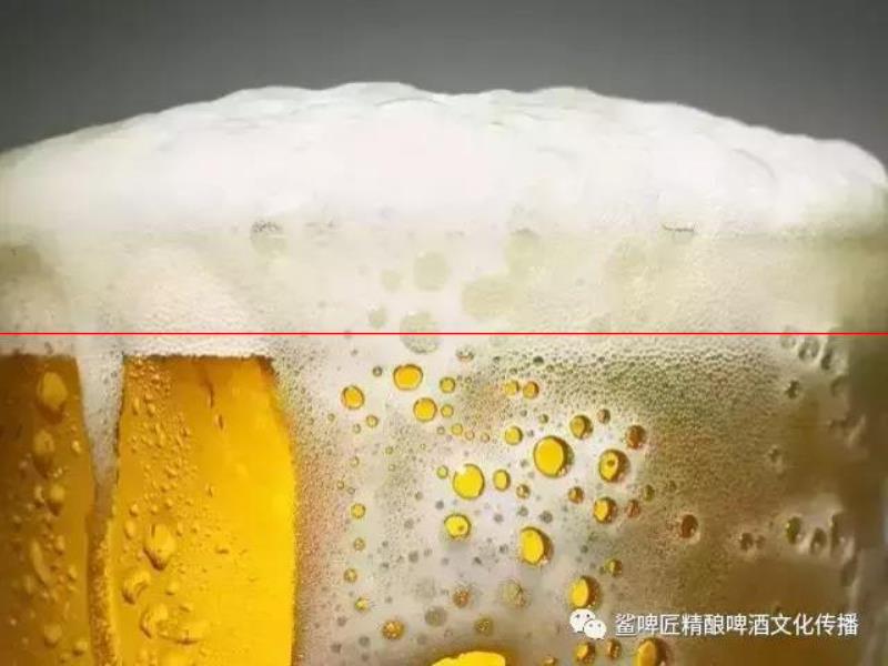 為什么啤酒會形成與眾不同的泡沫？