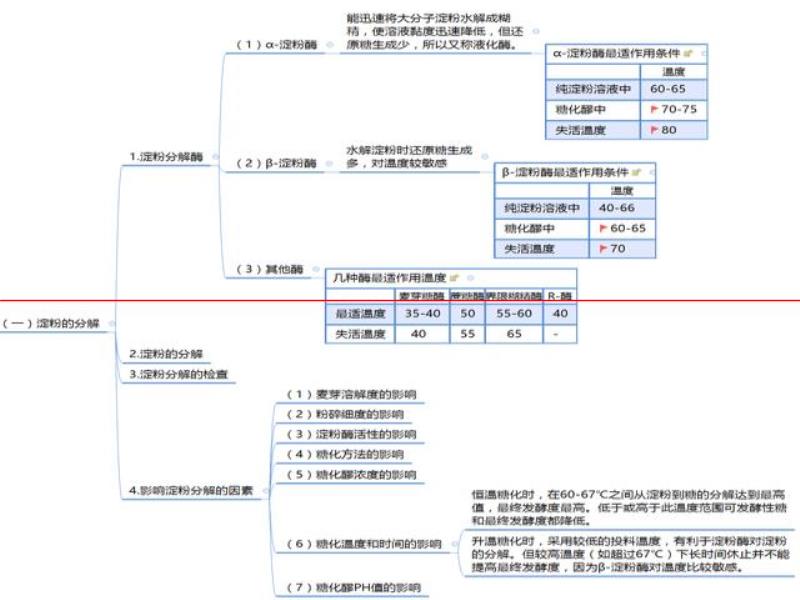 制麥過程中，糖化醪PH值的影響有哪些？