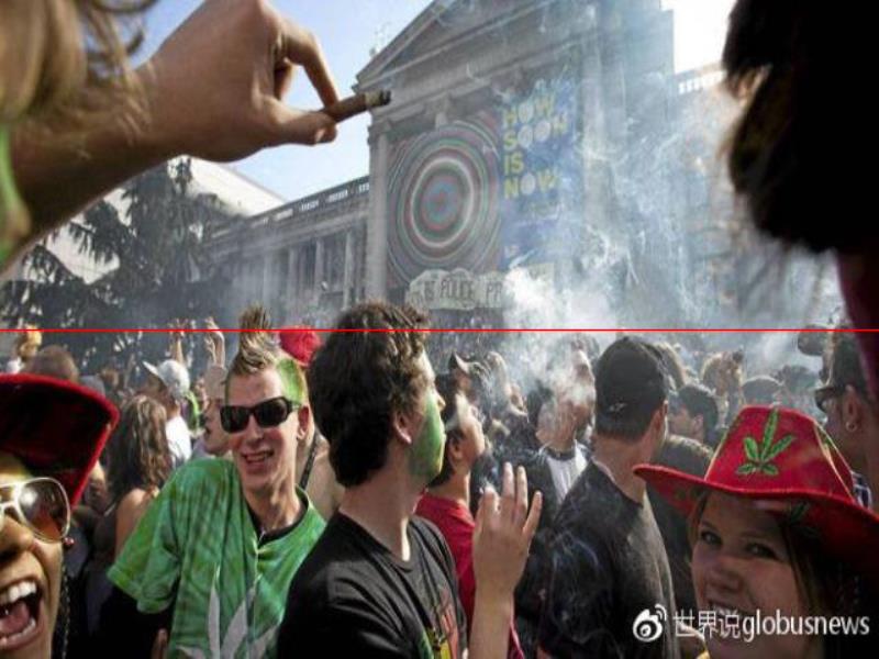 為什么大麻在加拿大變得合法了？