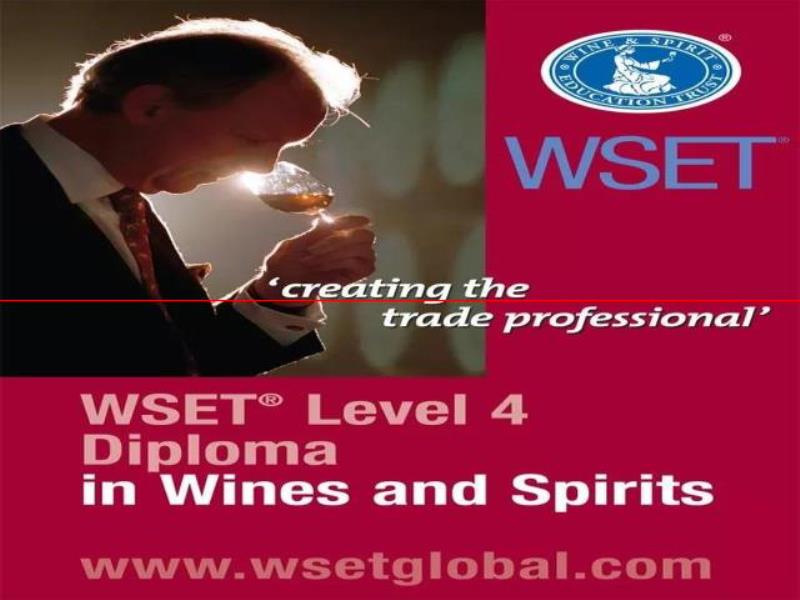 WSET 宣布將新增啤酒認證課程，想學習啤酒的快看